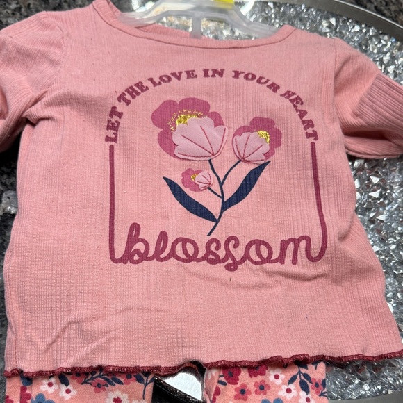 Limited Too Minnie Mouse 2 T bundle Too and Pants Set - Picture 10 of 11